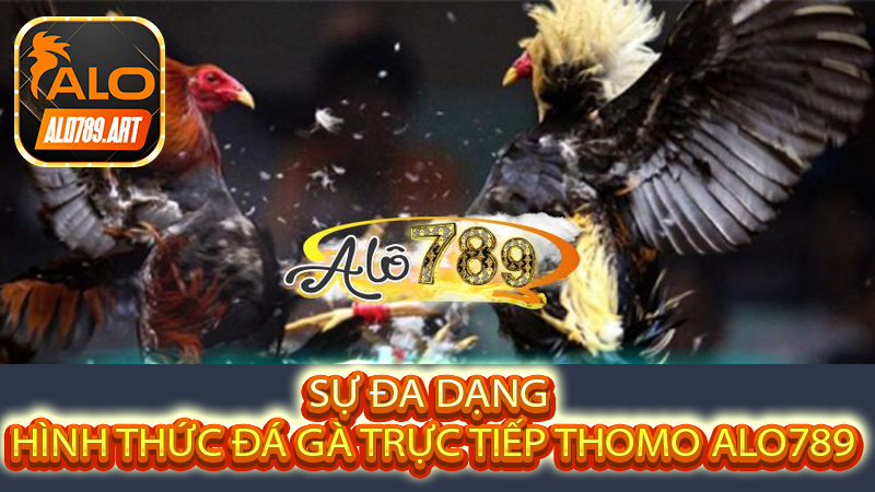 Sự đa dạng về hình thức Đá gà trực tiếp Thomo Alo789