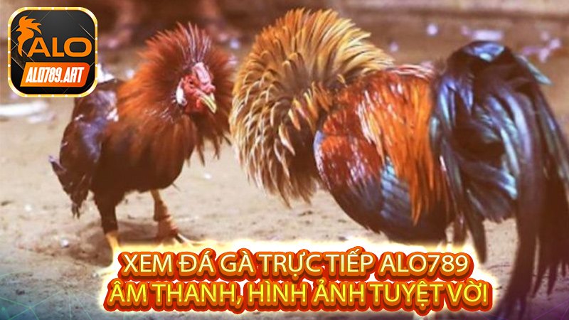 Âm thanh, hình ảnh tuyệt vời