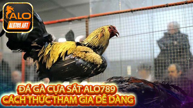 Cách thức tham gia dễ dàng