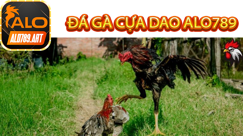 Có thể xem lại Đá Gà Cựa Dao Alo789 ở đâu?