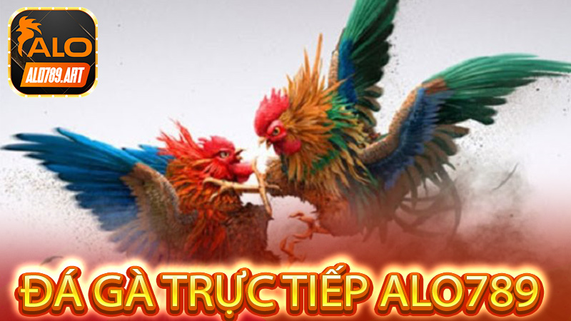 Đá Gà Trực Tiếp Alo789 trực tuyến