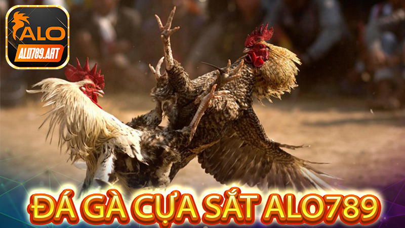 Hấp dẫn không rời mắt