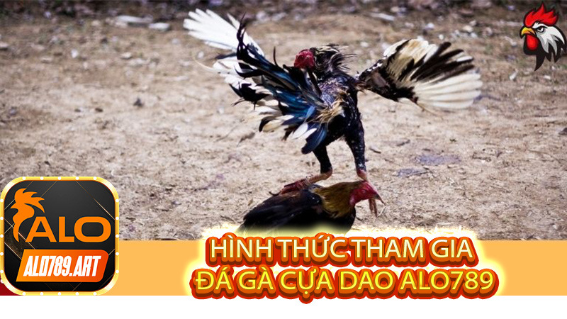 Hình thức tham gia Đá Gà Cựa Dao Alo789