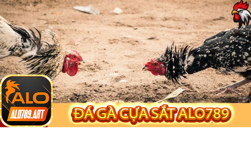 Những giống gà của Đá Gà Cựa Dao Alo789