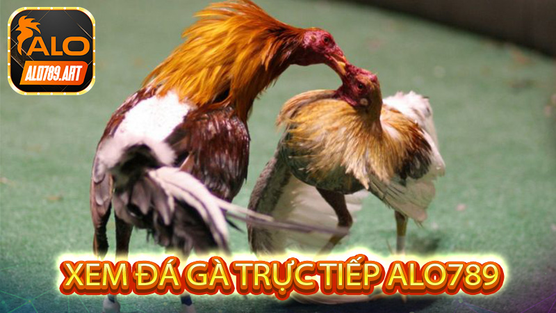 Trang đăng ký Đá Gà Trực Tiếp Alo789 điểm đến hàng đầu