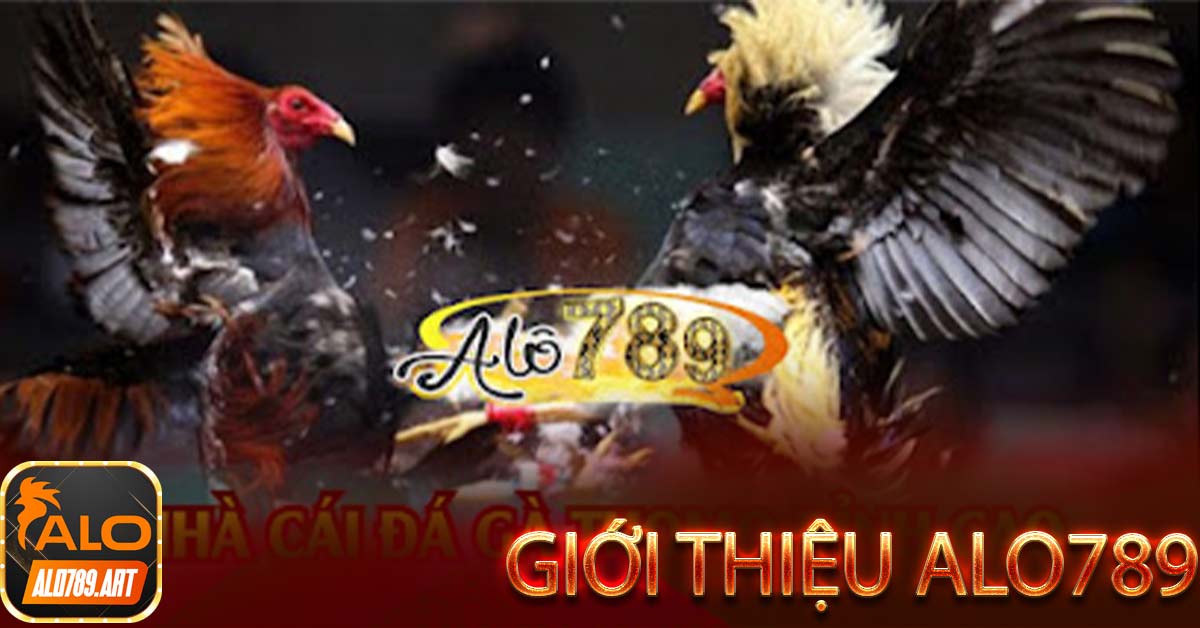 Ứng dụng cá cược Alo789