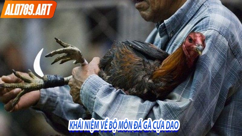 Khái niệm về bộ môn đá gà cựa dao