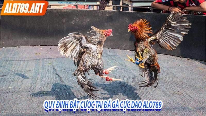Quy định đặt cược tại đá gà cực dao alo789